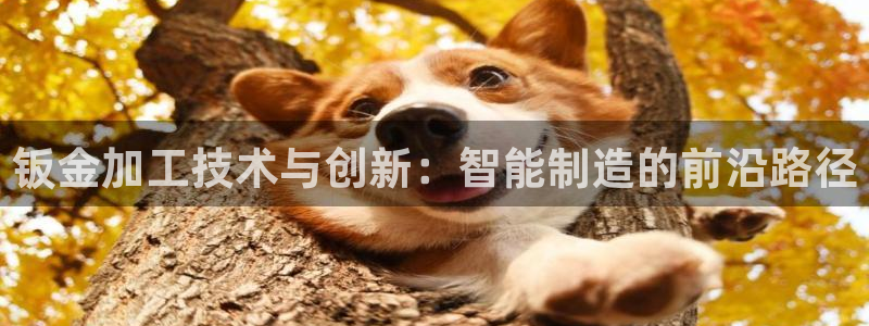 欧乐星城娱乐