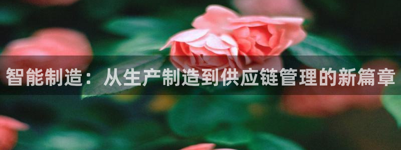 星欧娱乐公司电话号码