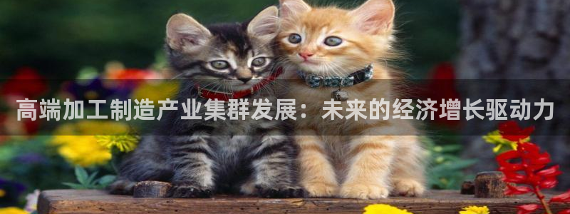 星欧娱乐伐官网注册