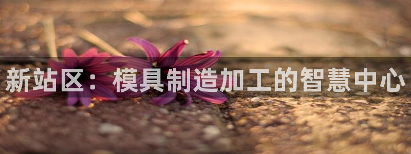 星欧娱乐官方客服电话