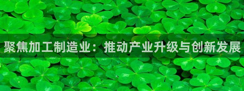 星欧娱乐旗下艺人名单