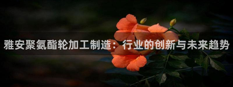 星欧娱乐平台登陆地址