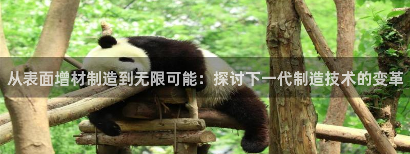 星欧娱乐注册资金多少