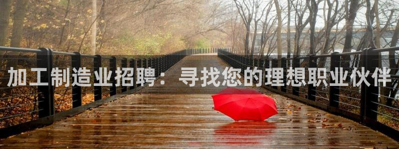 欧星娱乐国际平台