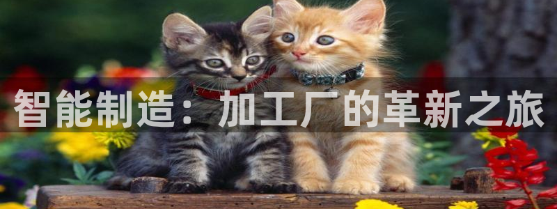 欧乐星城团购娱乐怎么样