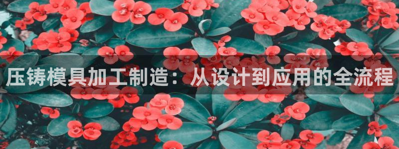 星欧娱乐招商非7O777