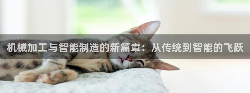 欧乐星城团购娱乐怎么样