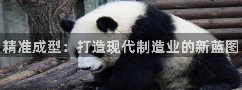 星辉娱乐进入欧连杯了吗