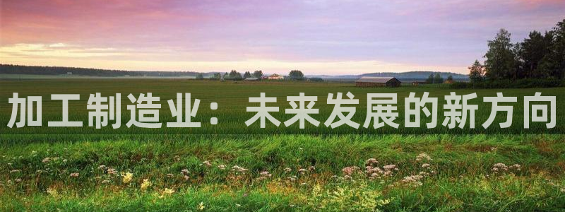 星欧娱乐注册资金多少
