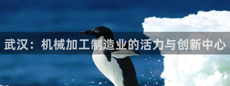 欧星娱乐