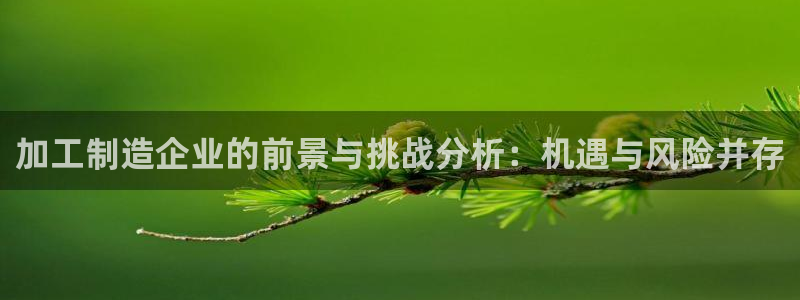 星欧娱乐平台靠谱吗