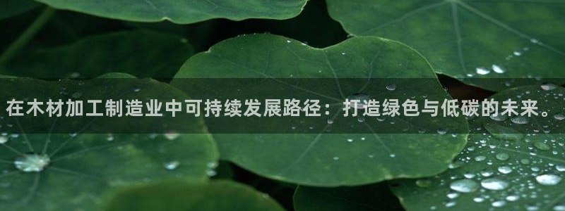 星欧娱乐注册登录入口