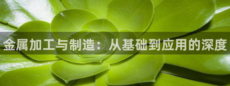 星欧娱乐雀V是什么平台
